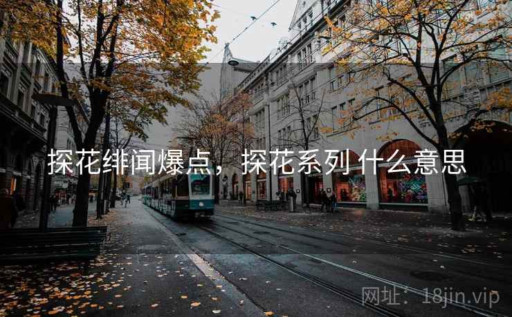 探花绯闻爆点，探花系列 什么意思